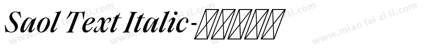 Saol Text Italic字体转换